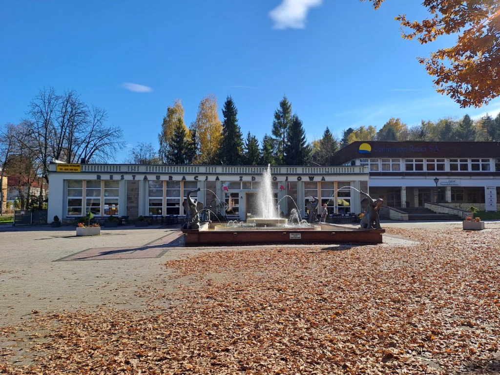 Restauracja Zdrojowa — zdjęcie 4