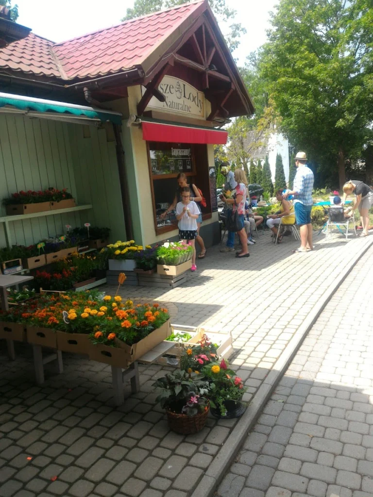 Nasze Lody Naturalne — zdjęcie 5