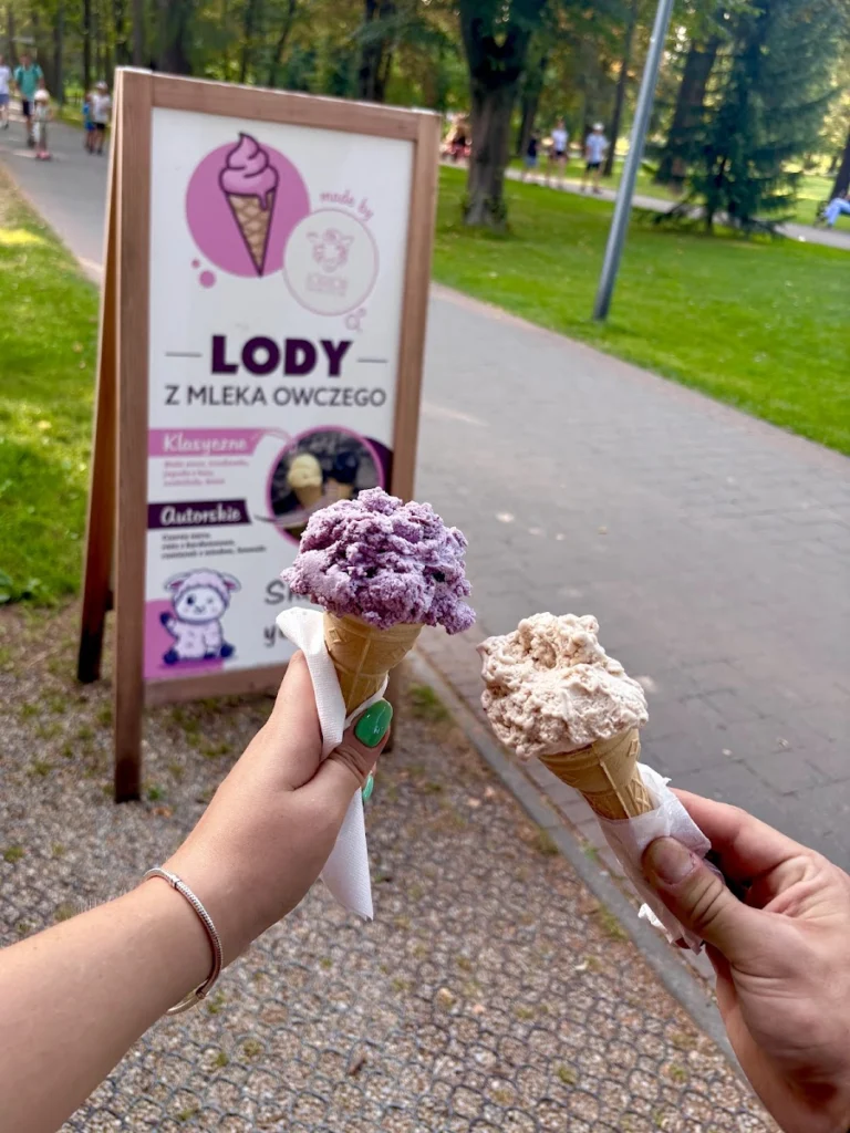 Lódgór lody z mleka owczego — zdjęcie 4