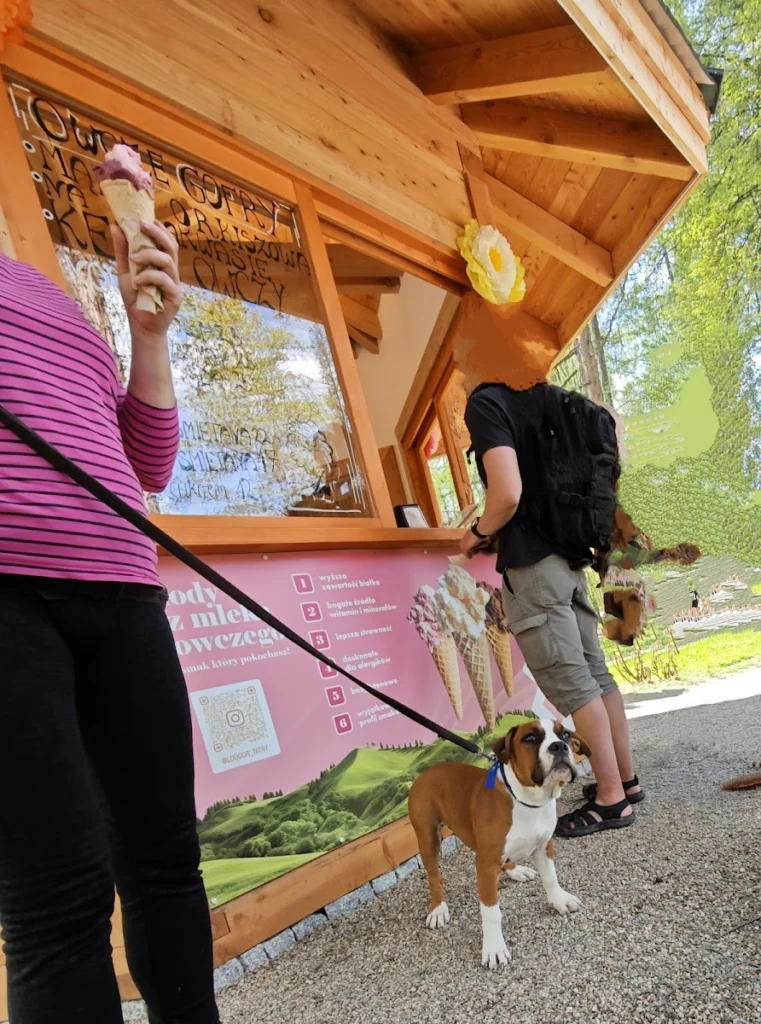 Lódgór lody z mleka owczego — zdjęcie 5
