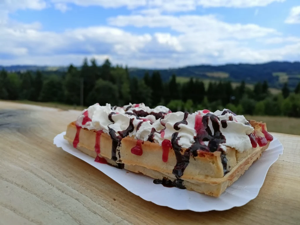 SZAŁAS GRILL — zdjęcie 2