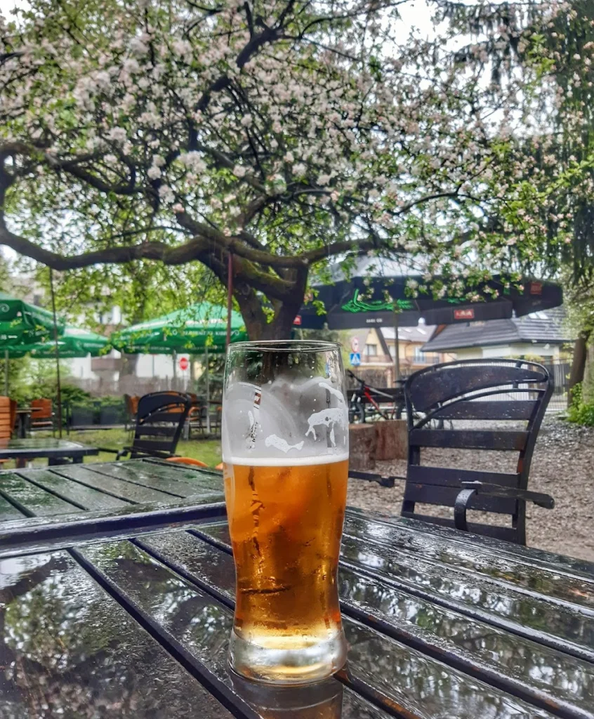 Bar Pod Jabłonkami — zdjęcie 2