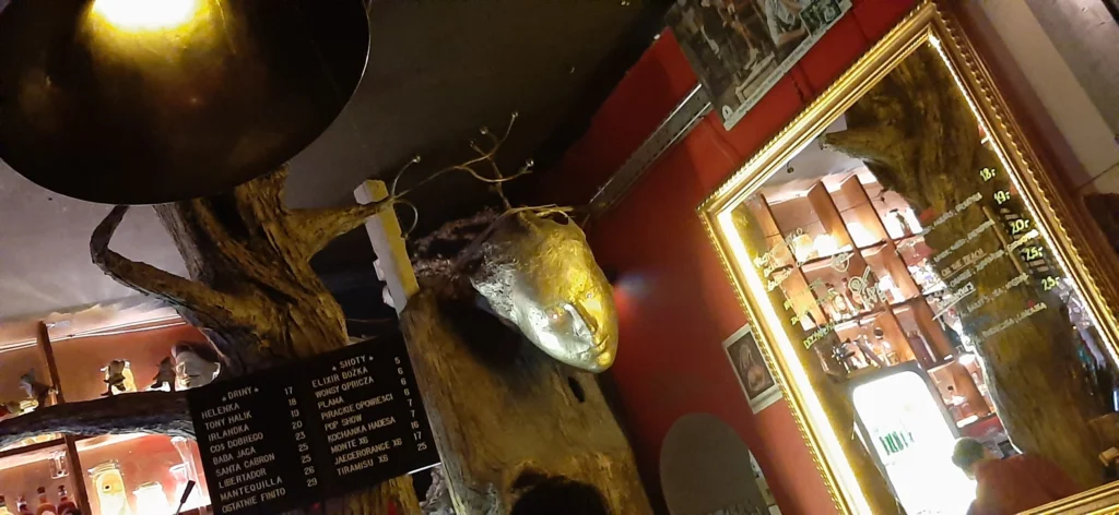 Pub Plama — zdjęcie 2