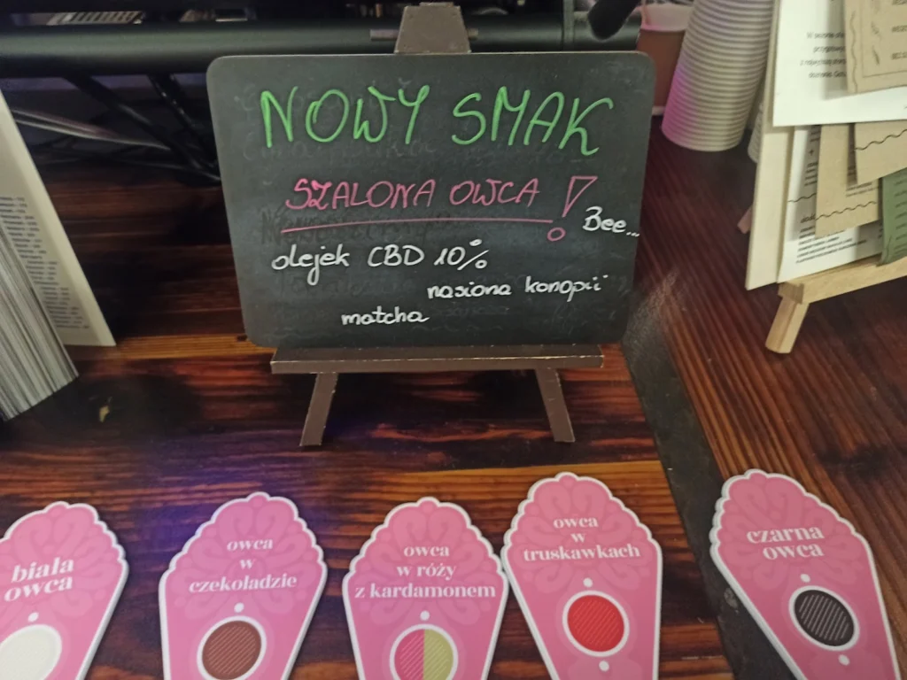 Lódgór lody z mleka owczego Nowy Targ — zdjęcie 5