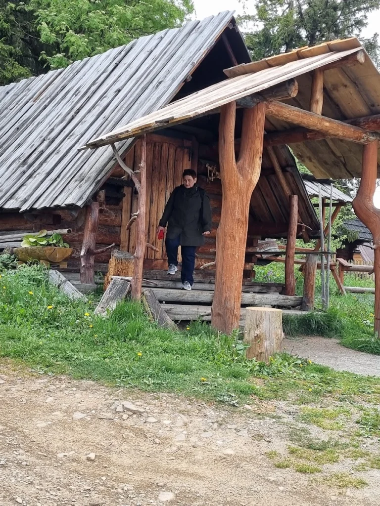 Zakręcona fryta – Restauracja w Zakopanem