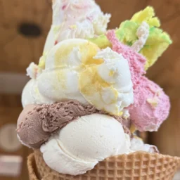 Pyszne Lody u Pyrnicki