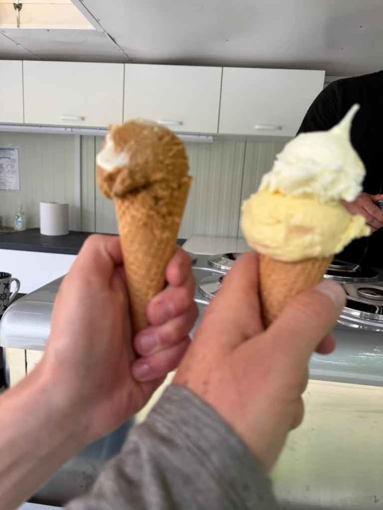 Lody Naturalne Krasne Smaki – food truck — zdjęcie 4