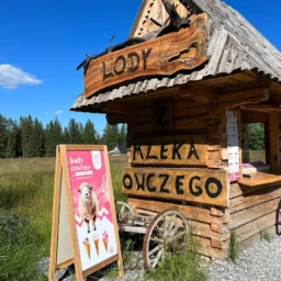 Lódgór lody z mleka owczego
