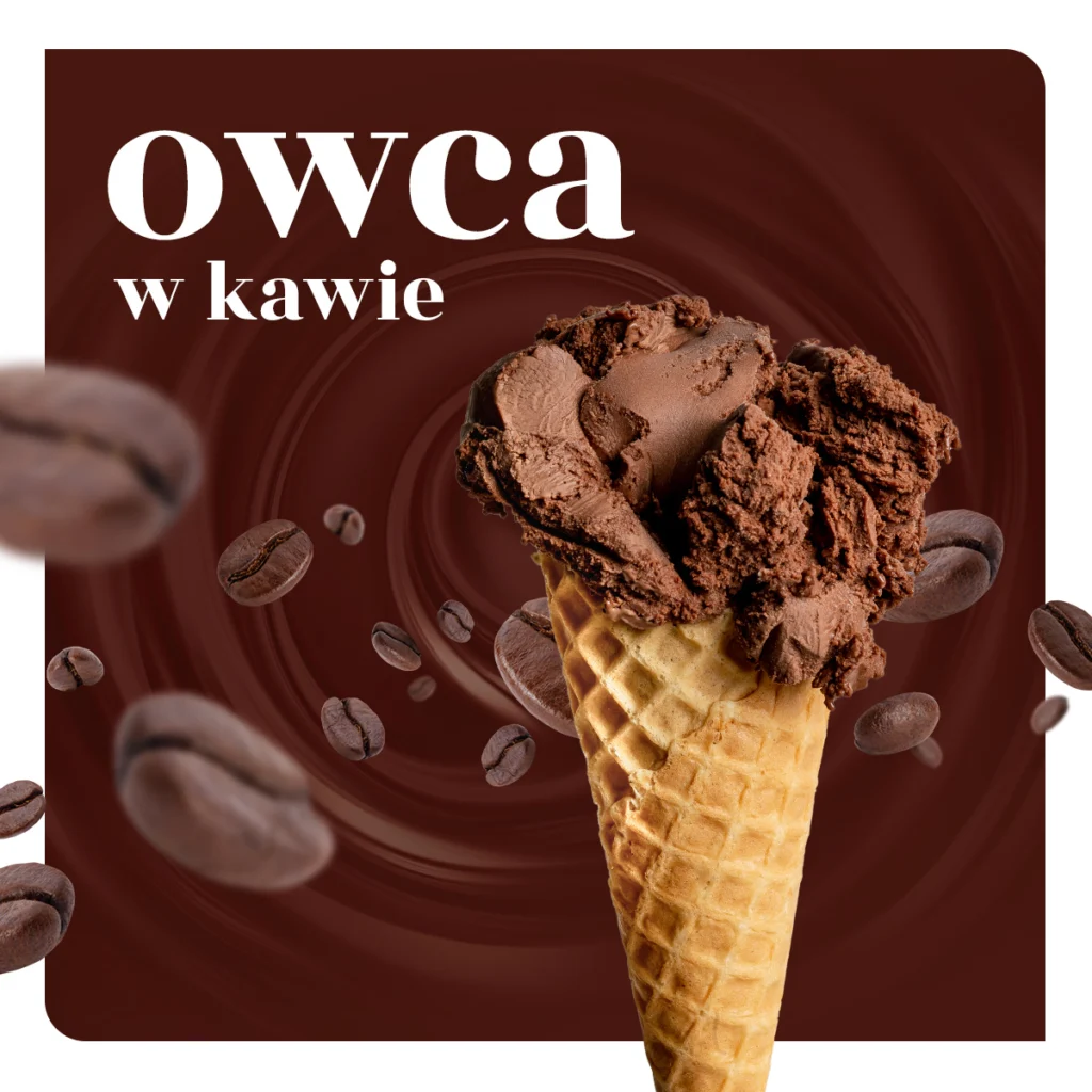 Lódgór lody z mleka owczego — zdjęcie 2