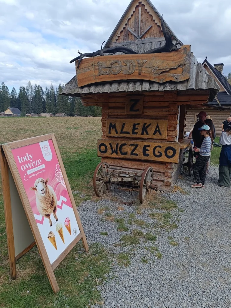 Lódgór lody z mleka owczego — zdjęcie 3
