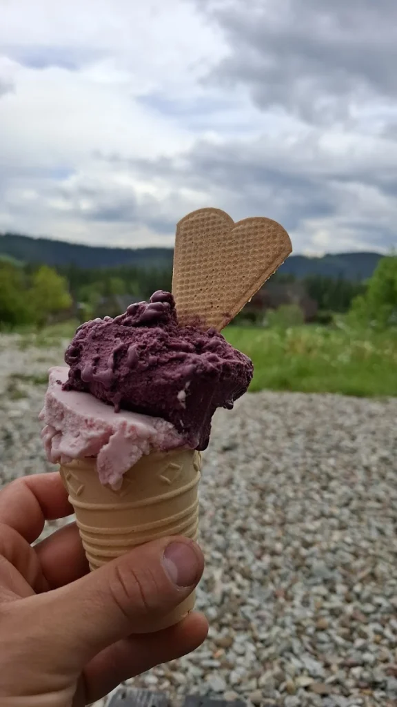 Lody Tradycyjnie Zielony Wóz Murzasichle — zdjęcie 5